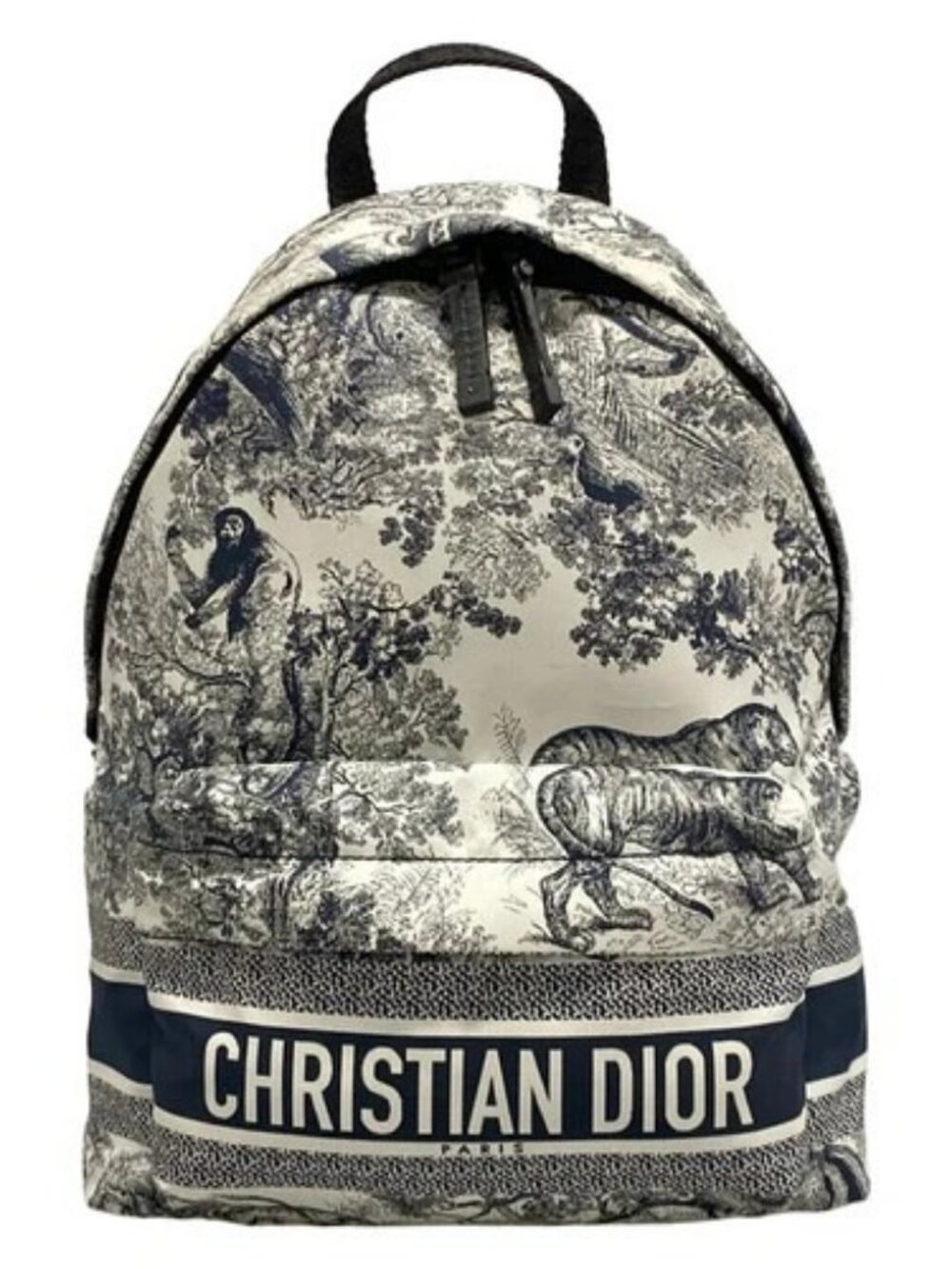 DIOR/ChristianDior Dior Travel Small Backpack M6108SNTJ_M808 White Navy Nylon